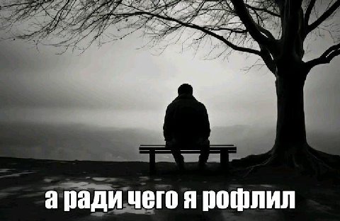 aS аради чего я рофлил