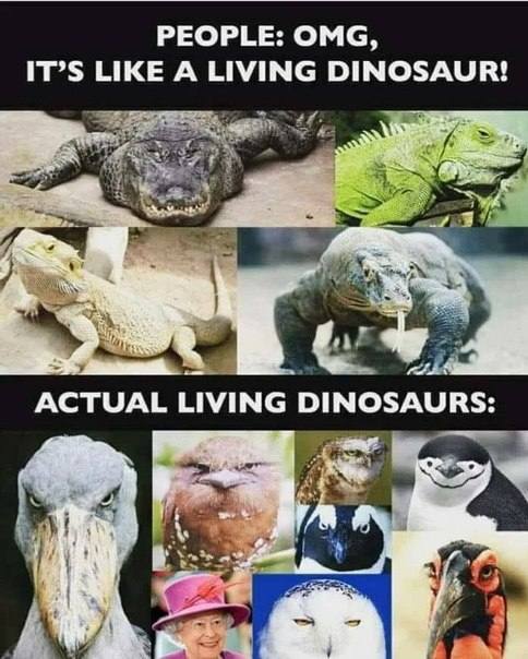PEOPLE: ОМС, IT’S LIKE A LIVING DINOSAUR! ACTUAL LIVING DINOSAURS: