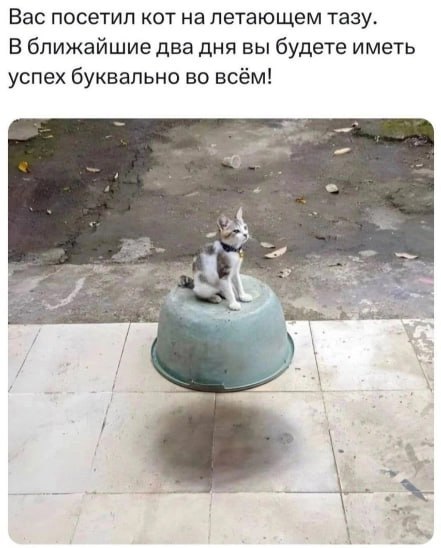 Вас посетил кот на летающем тазу. В ближайшие два дня вы будете иметь успех буквально во всём! 2