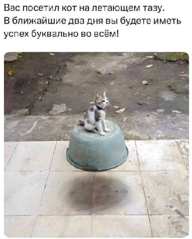 Вас посетил кот на летающем тазу. В ближайшие два дня вы будете иметь успех буквально во всём! 2