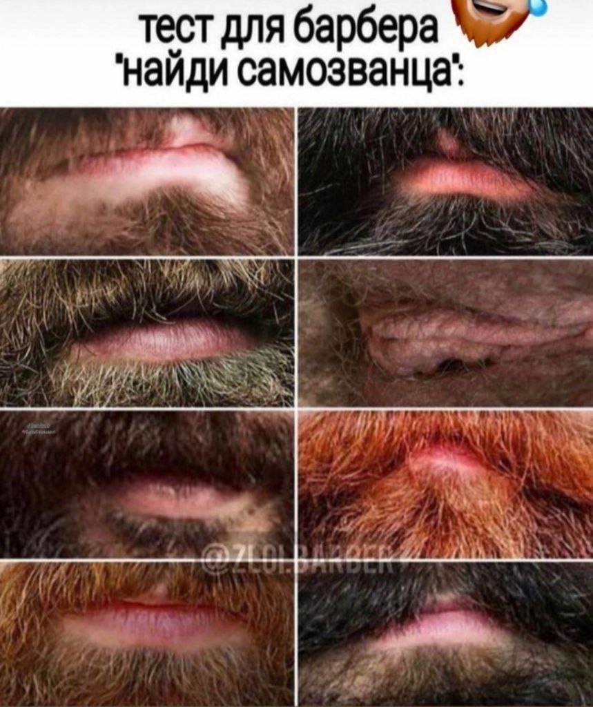 тест для барбера у’ найди самозванца: 20 i
