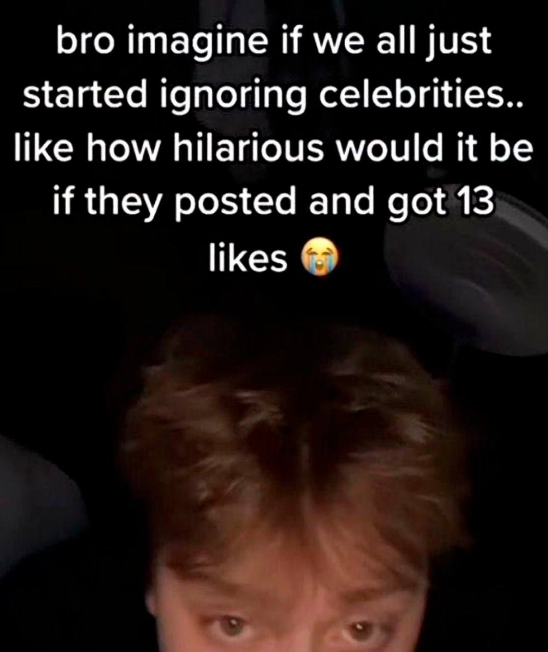bro imagine if we all just started ignoring celebrities.. like how hilarious would it be if they posted and got 13 likes