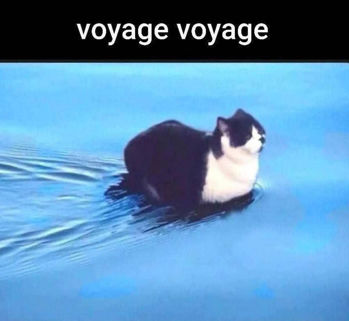 voyage voyage