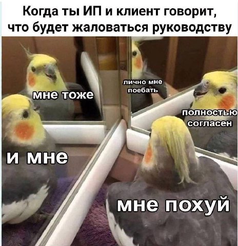 Когда ты и клиент говорит, что будет жаловаться руководству лично мне поебать мне тоже согласен мне ‚мне похуй