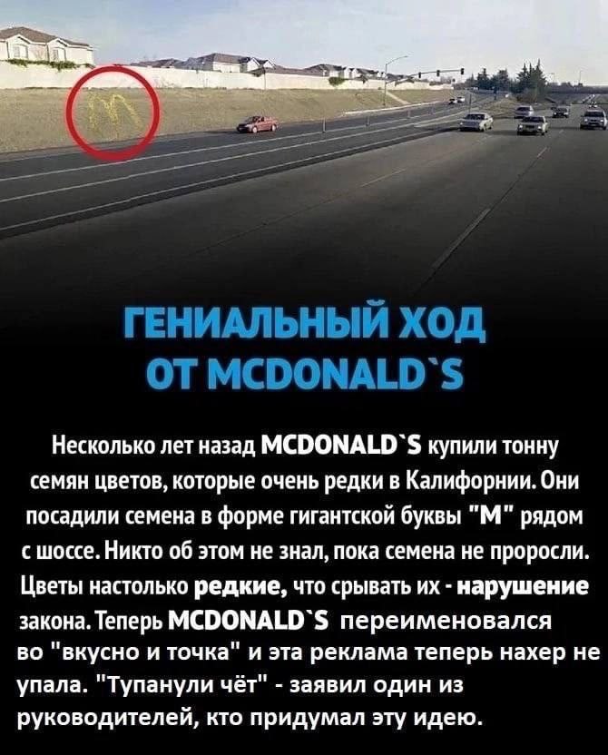 4“ ГЕНИАЛЬНЫЙ ХОД ОТ MCDONALD'S Несколько лет назад MCDONALD'S купили тонну семян цветов, которые очень редки в Калифорнии. Они посадили семена в форме гигантской буквы рядом с шоссе. Никто об этом не
