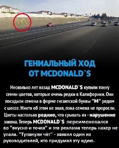 4“ ГЕНИАЛЬНЫЙ ХОД ОТ MCDONALD'S Несколько лет назад MCDONALD'S купили тонну семян цветов, которые очень редки в Калифорнии. Они посадили семена в форме гигантской буквы рядом с шоссе. Никто об этом не