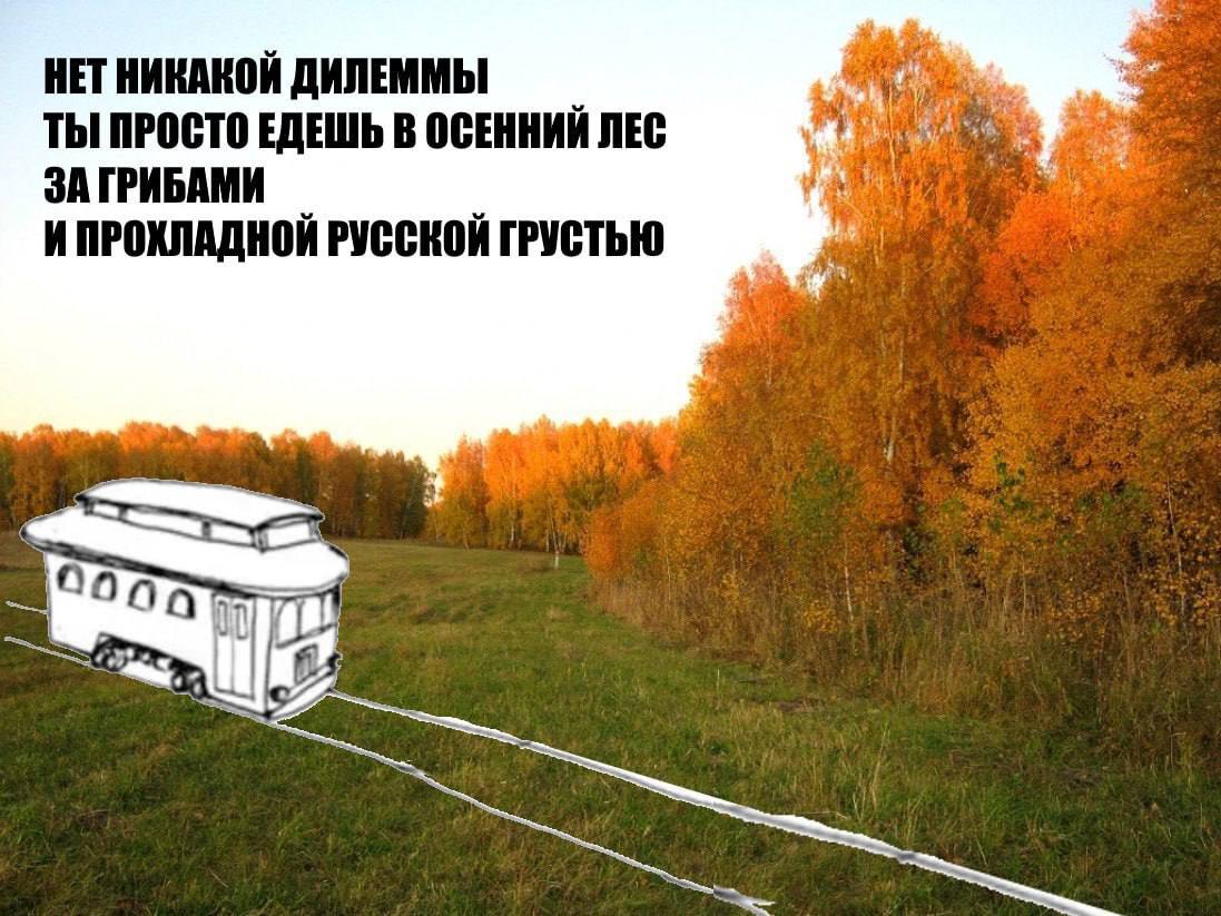 НЕТ НИКАКОЙ ДИЛЕММЫ ТЫ ПРОСТО ЕДЕШЬ В ОСЕННИЙ ЛЕС и 4 И ПРОХЛАДНОЙ РУССКОЙ ГРУСТЬЮ we
