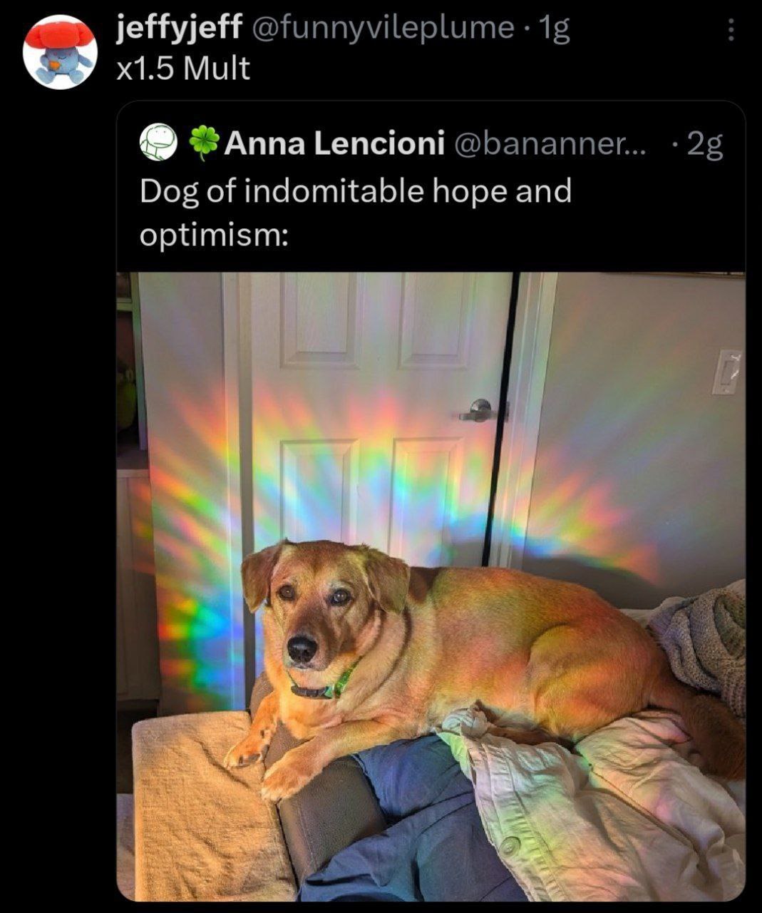 jeffyjeff @funnyvileplume 15 Mult Anna Lencioni @bananner 25 Dog of indomitable hope and optimism