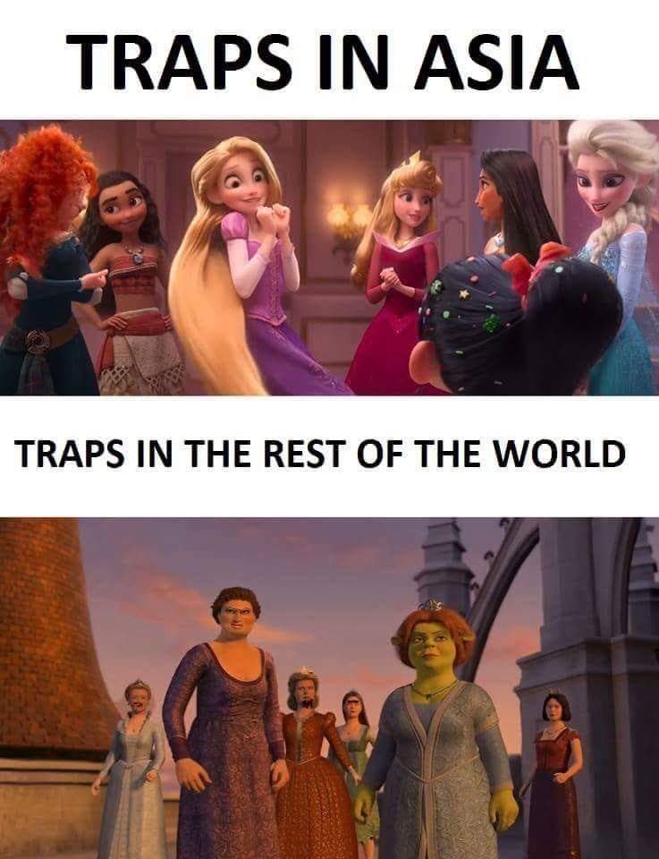 TRAPS IN ASIA TRAPS IN THE REST OF THE WORLD