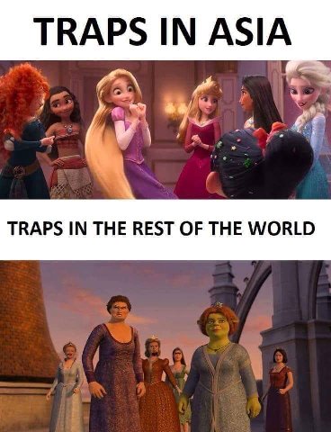 TRAPS IN ASIA TRAPS IN THE REST OF THE WORLD