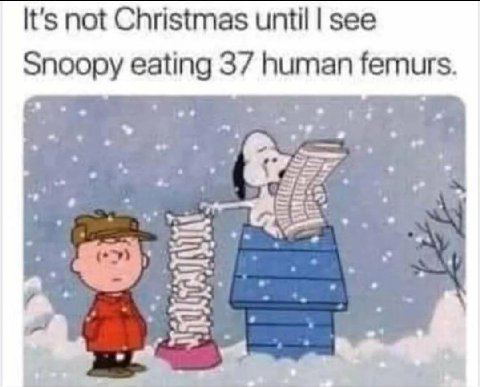 It's not Christmas until see Snoopy eating 37 human femurs. ise