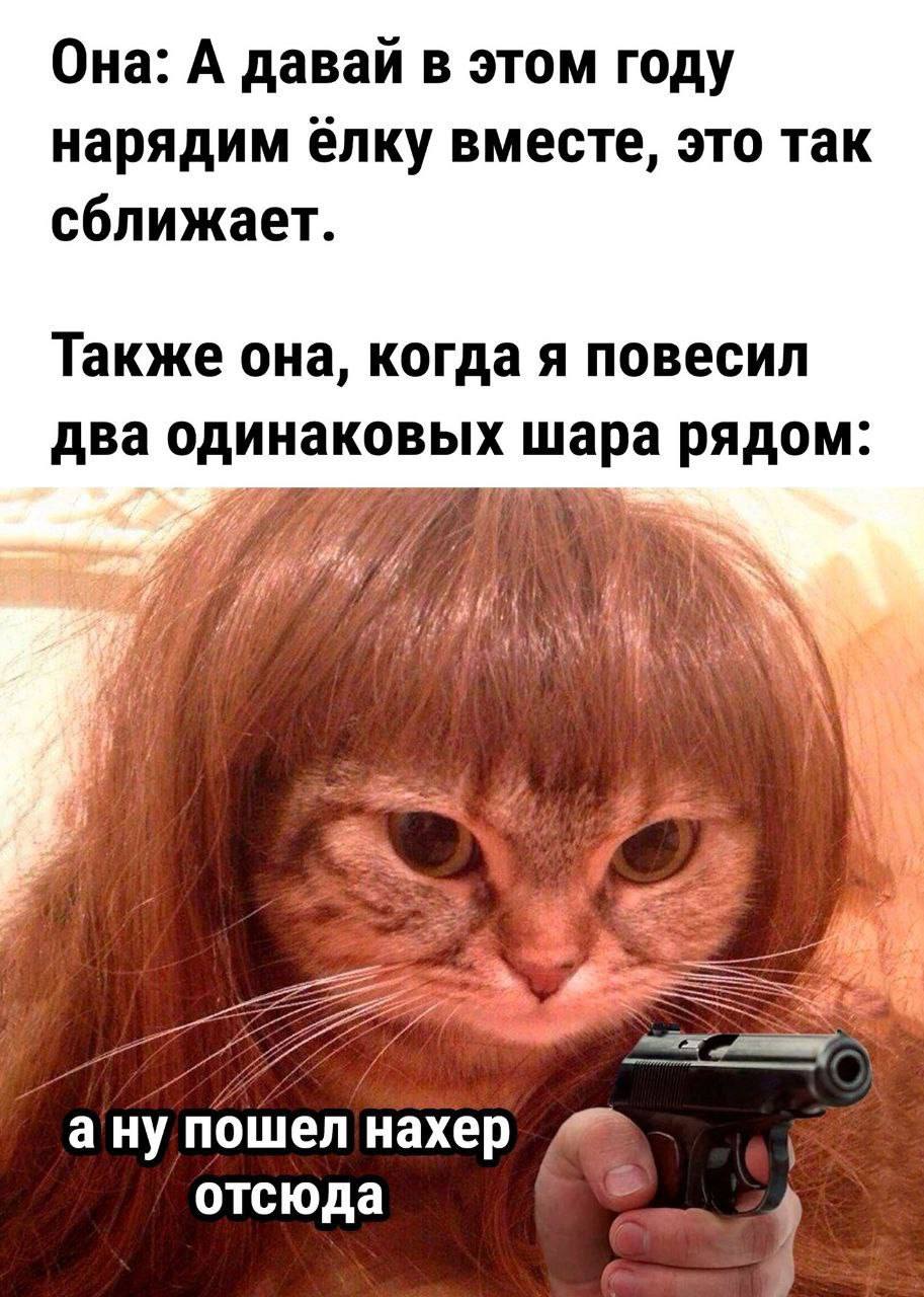 Она: А давай в этом году нарядим елку вместе, это так сближает. Также она, когда я повесил два одинаковых шара рядом: а ну пошел нахер отсюда