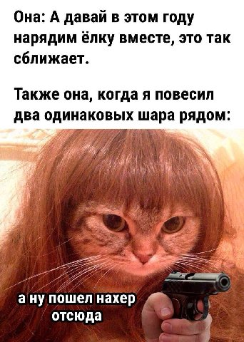 Она: А давай в этом году нарядим елку вместе, это так сближает. Также она, когда я повесил два одинаковых шара рядом: а ну пошел нахер отсюда