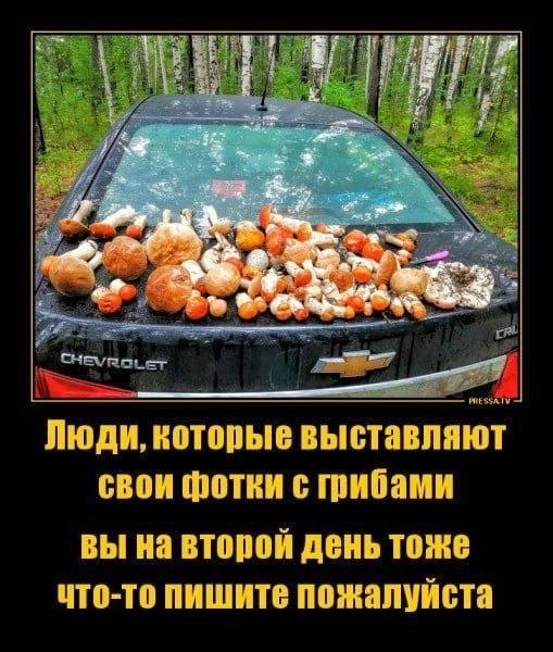 Люди, которые выставляют свои фотки с вы на второй день тоже пишите пожалуйста