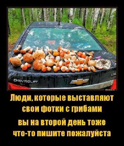Люди, которые выставляют свои фотки с вы на второй день тоже пишите пожалуйста