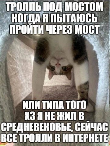 ТРОЛЛЬ ПОД МОСТОМ КОГДА Я ПЫТАЮСЬ ЧЕРЕЗ МОСТ ИЛИ ТИПА ТОГО В СРЕДНЕВЕКОВЬЕ, СЕЙЧАС ВСЕТРОЛЛИ В ИНТЕРНЕТЕ
