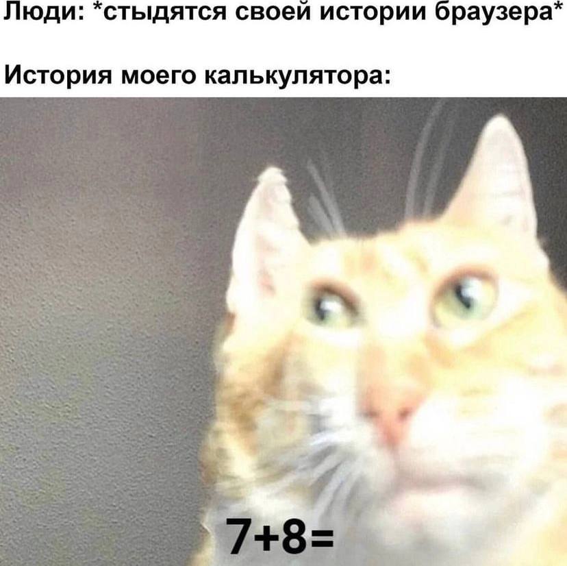 Люди: своей истории браузера* История моего калькулятора: