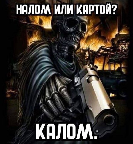 НАЛОМ ИЛИ КАРТОЙ? КАЛОМ