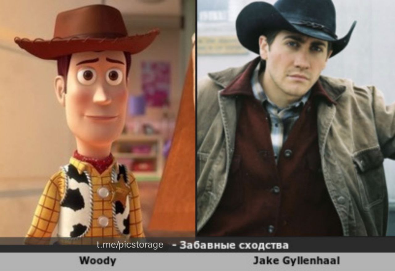 34 t.me/picstorage Забавные сходства