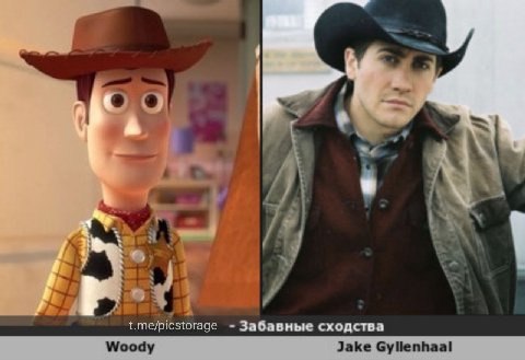 34 t.me/picstorage Забавные сходства