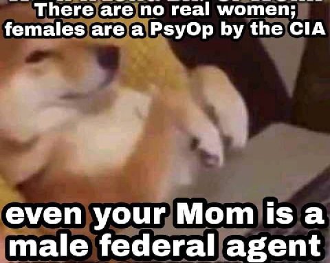 There are по real women; females are a PsyOp the CIA even your Мот isa male federal agent
