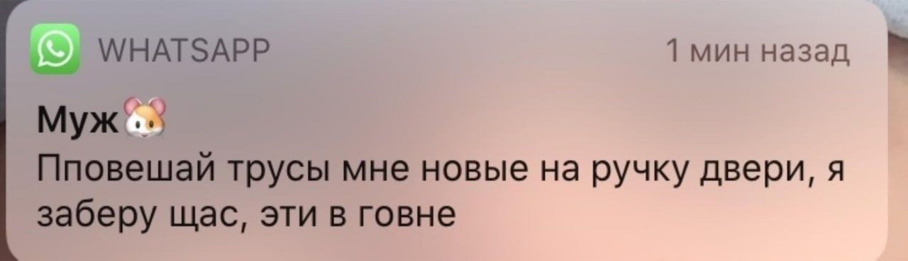 WHATSAPP 1 мин назад Муж... Пповешай трусы мне новые на ручку двери, я заберу щас, эти в говне