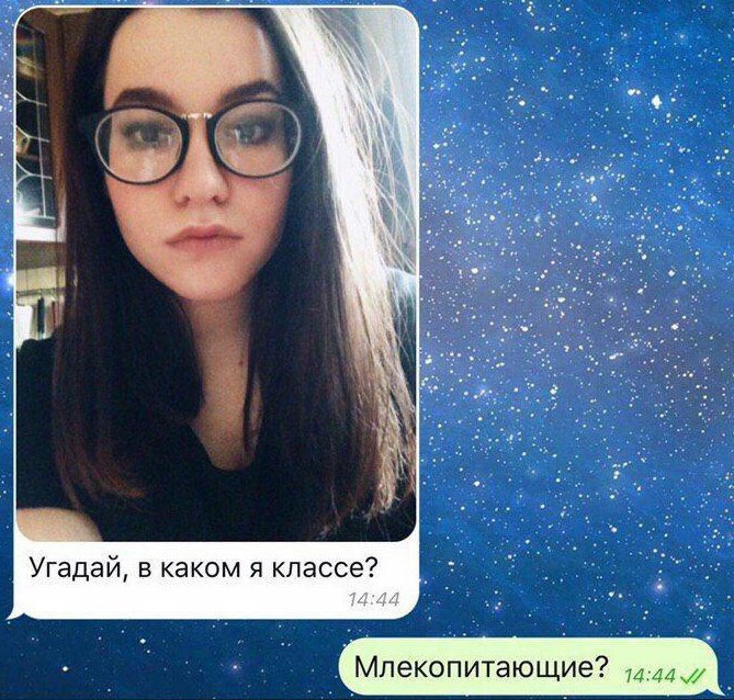 Угадай, в каком я классе? 14:44 Млекопитающие?