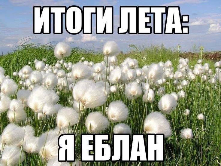 ИТОГИ ЛЕТА--