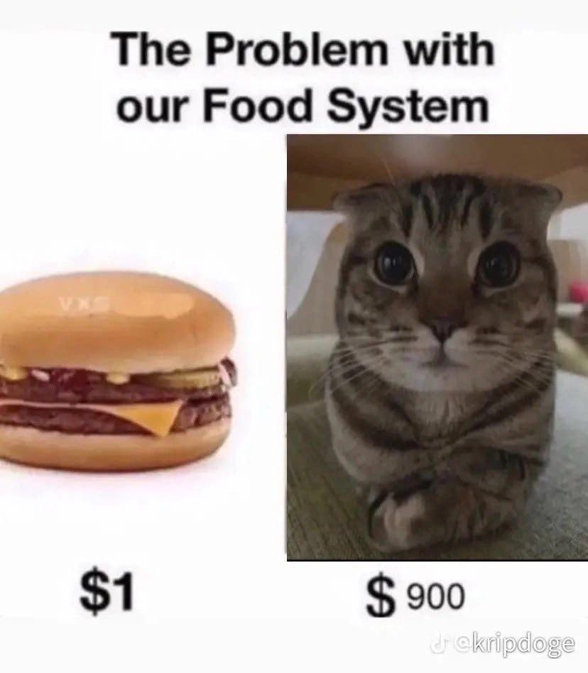 The Problem with our Food System $1 900