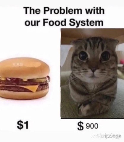 The Problem with our Food System $1 900