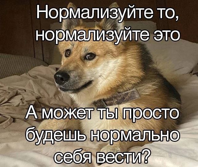 Нормализуйте то, нормализуйте это A может росто будешь Себя