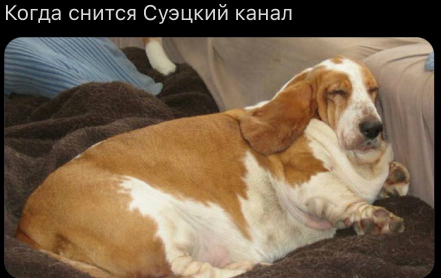 Когда снится Суэцкий канал