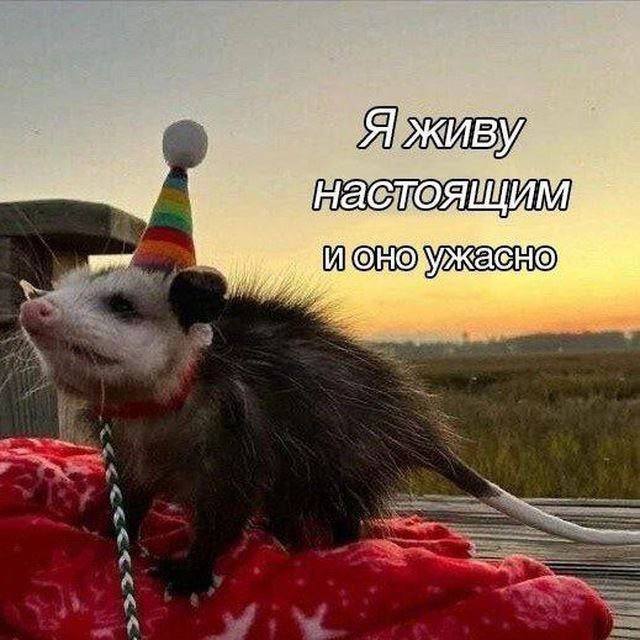 И А А