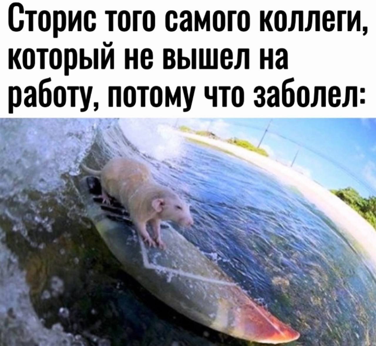 Сторис того самого коллеги, который He вышел на работу, потому что заболел: mig. a