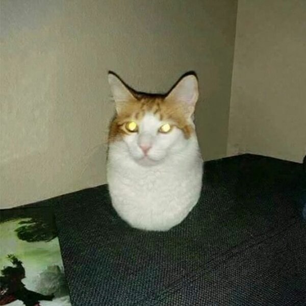 we