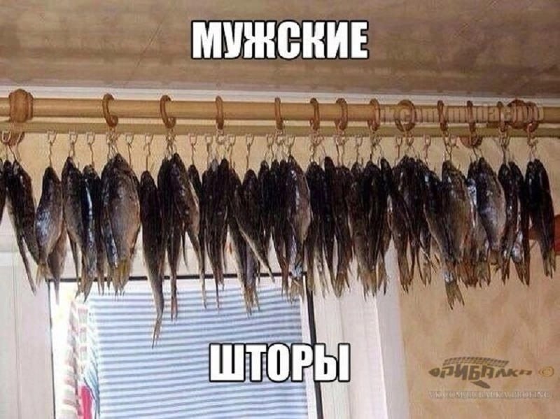alt an a i ШТО