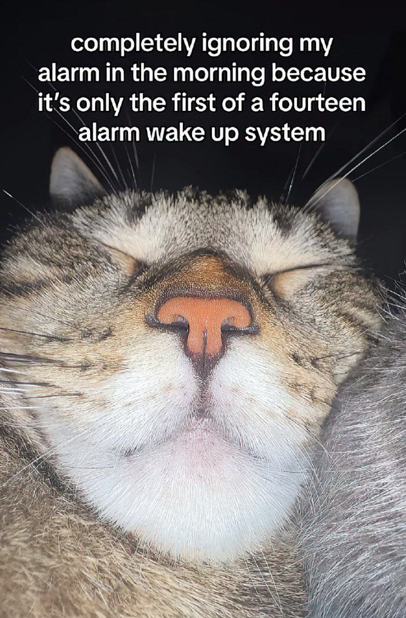 completely ignoring alarm in the morning because it's only the first of a fourteen ‘alarm wake up system В у 14 why 7.5 i 2 i я 2