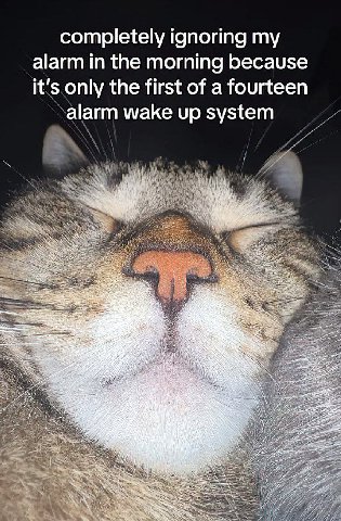 completely ignoring alarm in the morning because it's only the first of a fourteen ‘alarm wake up system В у 14 why 7.5 i 2 i я 2