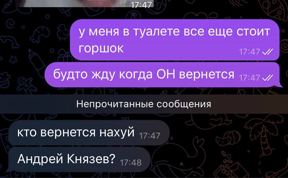 17:47 у меня в туалете все еще стоит горшок 17:47 будто жду когда ОН вернется Непрочитанные сообщения кто вернется нахуй Андрей Князев?