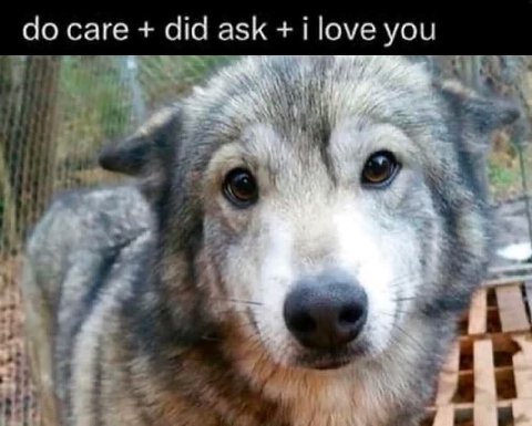 саге did ask г|оуе you