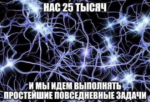 HAC 25 ТЫСЯЧ 5 ИДЕМ ВЫПОЛНЯТЬ ПРОСТЕИШИЕ ПОВСЕДНЕВНЫЕ ЗАДАЧИ.
