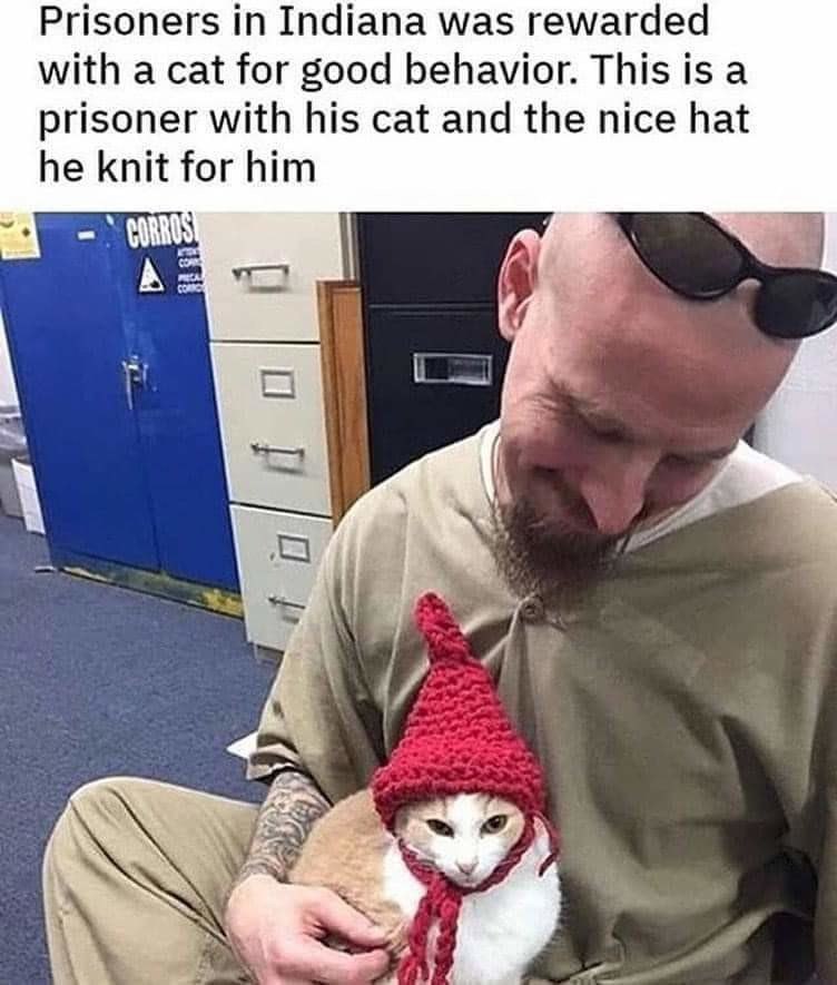 Prisoners Indiana was rewarded with a cat for good behavior. This is a prisoner with his cat and the nice hat he knit for him A