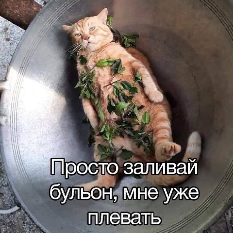 7 4 Просто заливай бульон, мне уже плевать