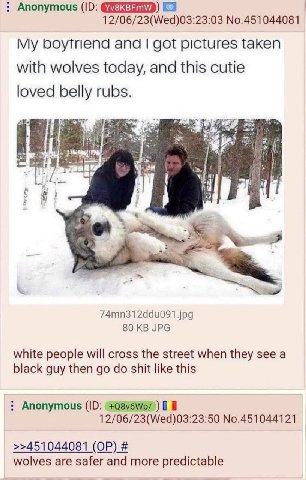 Anonymous 12/06/23(Wed)03:23:03 No.451044081 My boytriend and got pictures taken with wolves today, and this cutie loved belly rubs. мы 44 7 74mn312ddu091.jpg 80 JPG white people will cross the street