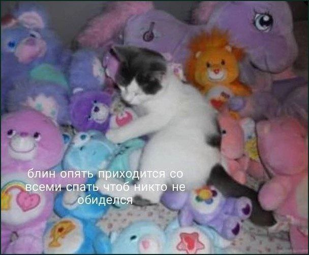 блин опять всеми спать чтоб.никто не обиделся