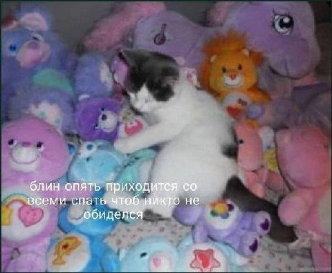 блин опять всеми спать чтоб.никто не обиделся