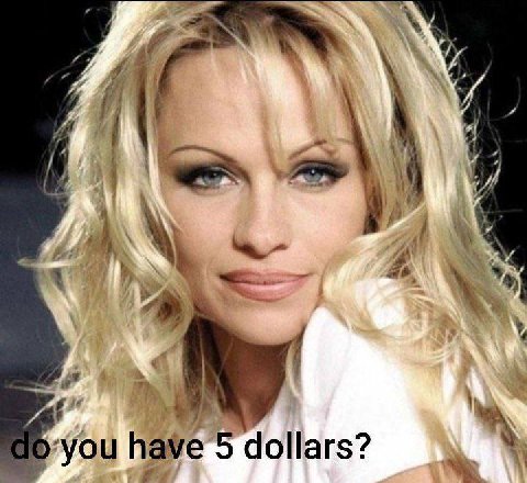 i have 5 dollars?