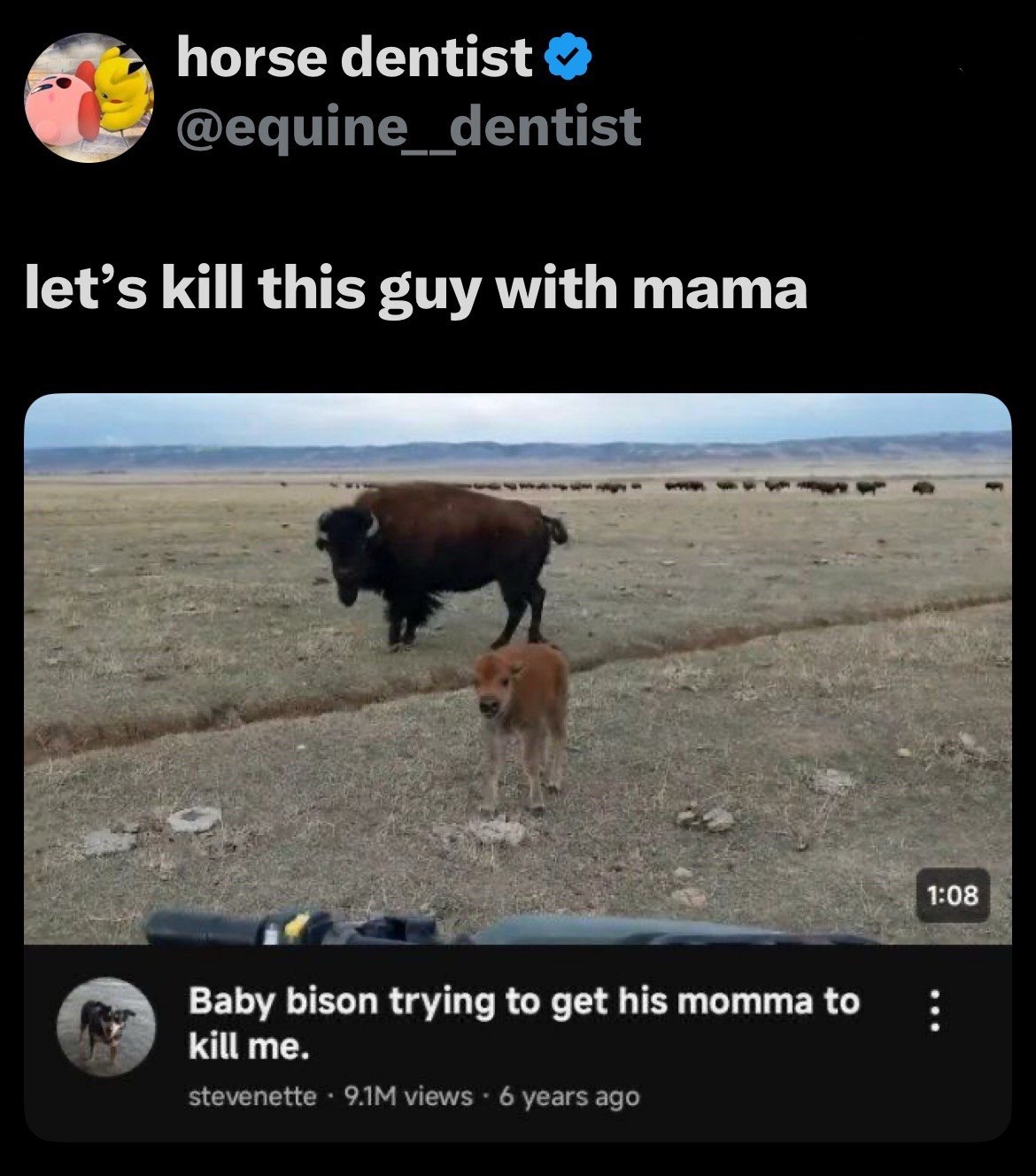 horse dentist @equine_dentist let’s kill this guy with mama Baby bison trying to get his momma to о kill me. stevenette views 6 years ago