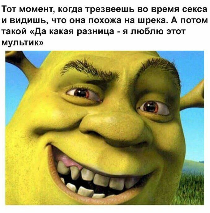 Тот момент, когда трезвеешь во время секса и видишь, что она похожа на шрека. А потом такой «Да какая разница -я люблю этот мультик»