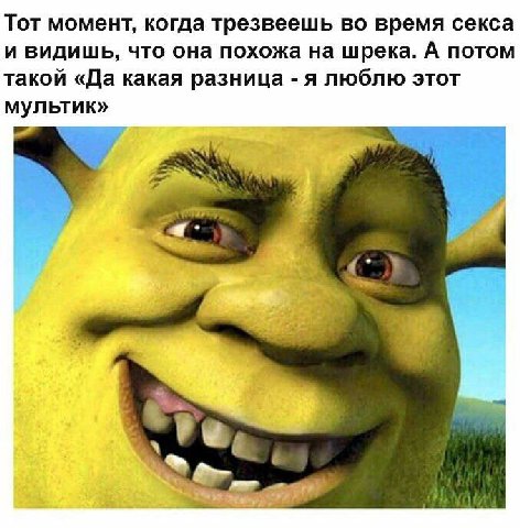Тот момент, когда трезвеешь во время секса и видишь, что она похожа на шрека. А потом такой «Да какая разница -я люблю этот мультик»